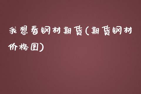 我想看钢材期货(期货钢材价格图)_https://www.qianjuhuagong.com_期货平台_第1张