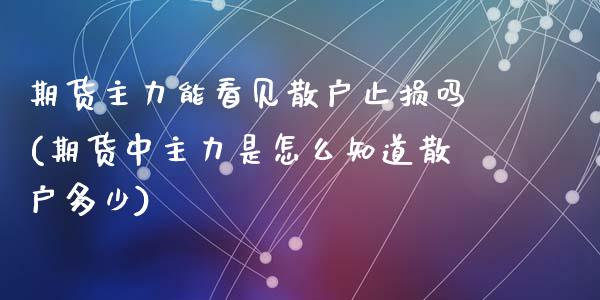 期货主力能看见散户止损吗(期货中主力是怎么知道散户多少)_https://www.qianjuhuagong.com_期货百科_第1张