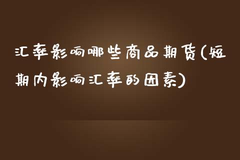 汇率影响哪些商品期货(短期内影响汇率的因素)_https://www.qianjuhuagong.com_期货开户_第1张