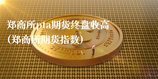 郑商所pta期货终盘收高(郑商所期货指数)_https://www.qianjuhuagong.com_期货平台_第1张