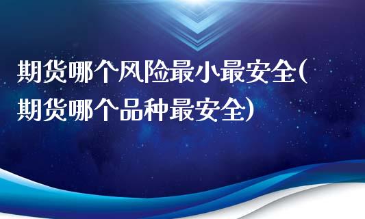 期货哪个风险最小最安全(期货哪个品种最安全)_https://www.qianjuhuagong.com_期货开户_第1张