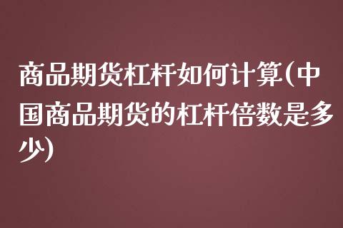 商品期货杠杆如何计算(中国商品期货的杠杆倍数是多少)_https://www.qianjuhuagong.com_期货开户_第1张