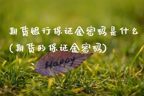 期货银行保证金密码是什么(期货的保证金密码)_https://www.qianjuhuagong.com_期货平台_第1张