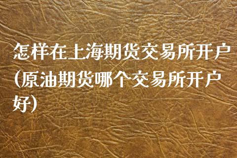 怎样在上海期货交易所开户(原油期货哪个交易所开户好)_https://www.qianjuhuagong.com_期货平台_第1张