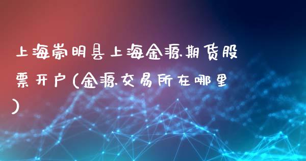 上海崇明县上海金源期货股票开户(金源交易所在哪里)_https://www.qianjuhuagong.com_期货平台_第1张