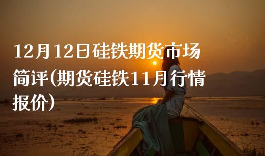 12月12日硅铁期货市场简评(期货硅铁11月行情报价)_https://www.qianjuhuagong.com_期货行情_第1张