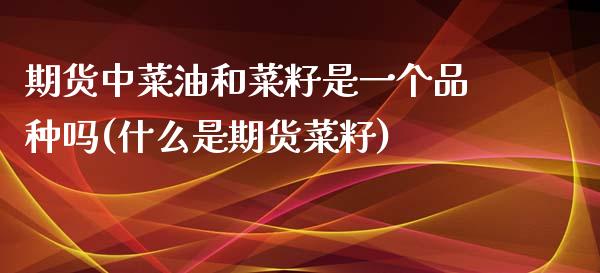 期货中菜油和菜籽是一个品种吗(什么是期货菜籽)_https://www.qianjuhuagong.com_期货平台_第1张