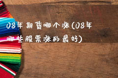 08年期货哪个涨(08年哪些股票涨的最好)_https://www.qianjuhuagong.com_期货行情_第1张