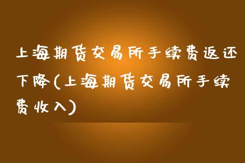 上海期货交易所手续费返还下降(上海期货交易所手续费收入)_https://www.qianjuhuagong.com_期货直播_第1张