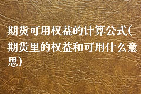 期货可用权益的计算公式(期货里的权益和可用什么意思)_https://www.qianjuhuagong.com_期货平台_第1张