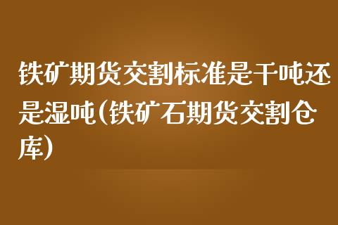 铁矿期货交割标准是干吨还是湿吨(铁矿石期货交割仓库)_https://www.qianjuhuagong.com_期货直播_第1张