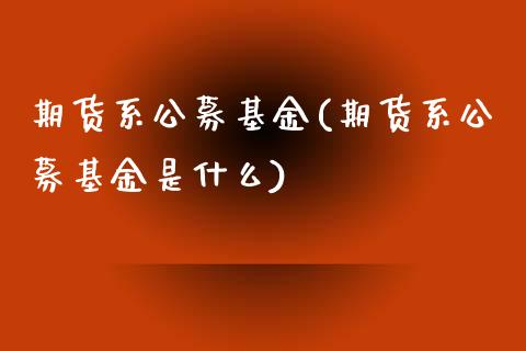 期货系公募基金(期货系公募基金是什么)_https://www.qianjuhuagong.com_期货行情_第1张