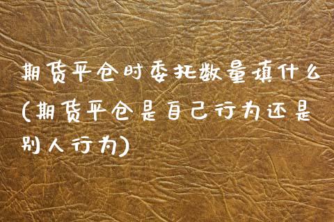 期货平仓时委托数量填什么(期货平仓是自己行为还是别人行为)_https://www.qianjuhuagong.com_期货平台_第1张