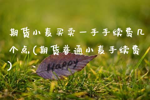 期货小麦买卖一手手续费几个点(期货普通小麦手续费)_https://www.qianjuhuagong.com_期货开户_第1张