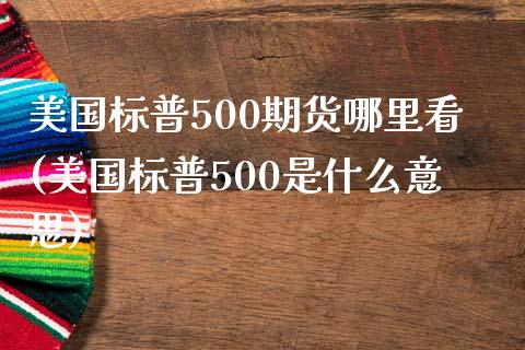 美国标普500期货哪里看(美国标普500是什么意思)_https://www.qianjuhuagong.com_期货开户_第1张