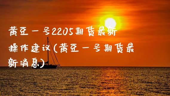 黄豆一号2205期货最新操作建议(黄豆一号期货最新消息)_https://www.qianjuhuagong.com_期货平台_第1张