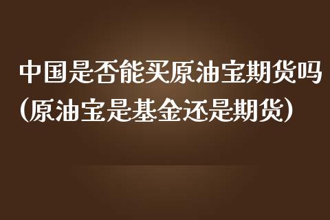 中国是否能买原油宝期货吗(原油宝是基金还是期货)_https://www.qianjuhuagong.com_期货平台_第1张