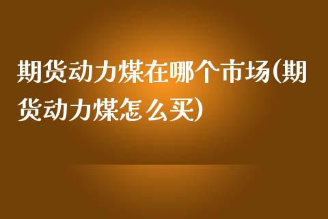 期货动力煤在哪个市场(期货动力煤怎么买)_https://www.qianjuhuagong.com_期货平台_第1张