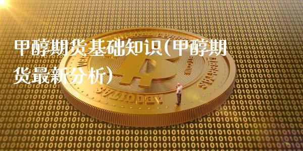 甲醇期货基础知识(甲醇期货最新分析)_https://www.qianjuhuagong.com_期货平台_第1张