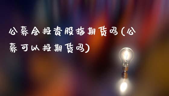 公募会投资股指期货吗(公募可以投期货吗)_https://www.qianjuhuagong.com_期货行情_第1张