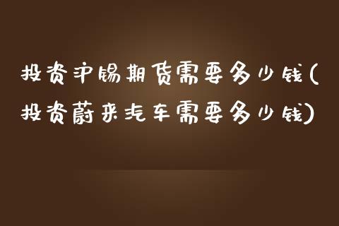 投资沪锡期货需要多少钱(投资蔚来汽车需要多少钱)_https://www.qianjuhuagong.com_期货直播_第1张