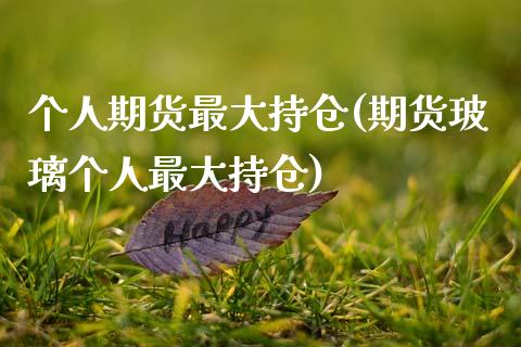 个人期货最大持仓(期货玻璃个人最大持仓)_https://www.qianjuhuagong.com_期货百科_第1张