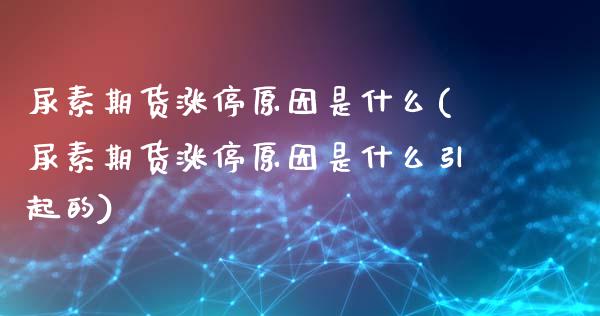 尿素期货涨停原因是什么(尿素期货涨停原因是什么引起的)_https://www.qianjuhuagong.com_期货开户_第1张