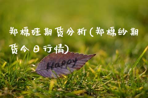 郑棉硅期货分析(郑棉纱期货今日行情)_https://www.qianjuhuagong.com_期货百科_第1张