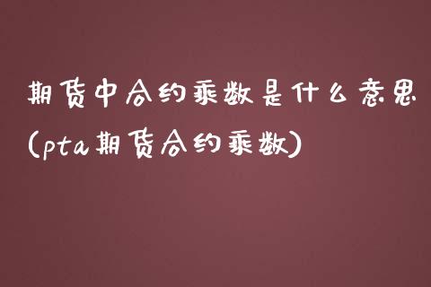 期货中合约乘数是什么意思(pta期货合约乘数)_https://www.qianjuhuagong.com_期货开户_第1张