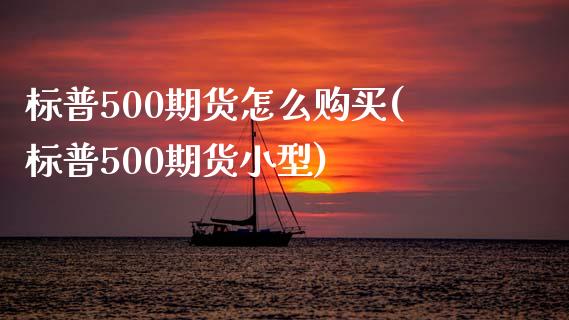 标普500期货怎么购买(标普500期货小型)_https://www.qianjuhuagong.com_期货开户_第1张