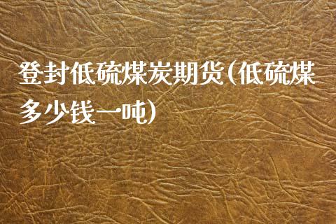 登封低硫煤炭期货(低硫煤多少钱一吨)_https://www.qianjuhuagong.com_期货开户_第1张