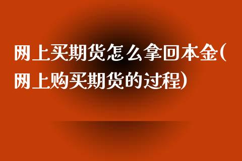 网上买期货怎么拿回本金(网上购买期货的过程)_https://www.qianjuhuagong.com_期货平台_第1张