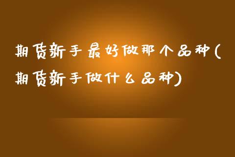 期货新手最好做那个品种(期货新手做什么品种)_https://www.qianjuhuagong.com_期货行情_第1张