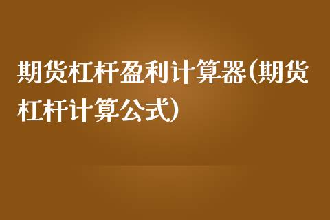 期货杠杆盈利计算器(期货杠杆计算公式)_https://www.qianjuhuagong.com_期货直播_第1张