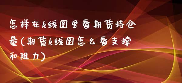 怎样在k线图里看期货持仓量(期货k线图怎么看支撑和阻力)_https://www.qianjuhuagong.com_期货平台_第1张