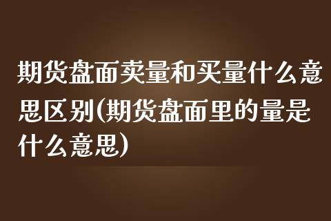 期货盘面卖量和买量什么意思区别(期货盘面里的量是什么意思)_https://www.qianjuhuagong.com_期货行情_第1张