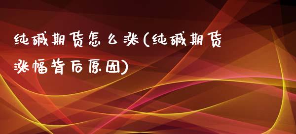 纯碱期货怎么涨(纯碱期货涨幅背后原因)_https://www.qianjuhuagong.com_期货开户_第1张