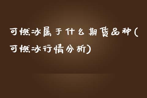 可燃冰属于什么期货品种(可燃冰行情分析)_https://www.qianjuhuagong.com_期货平台_第1张