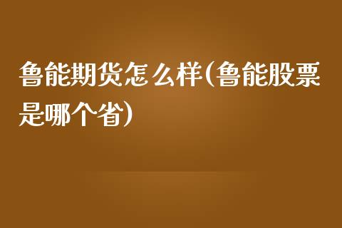 鲁能期货怎么样(鲁能股票是哪个省)_https://www.qianjuhuagong.com_期货开户_第1张