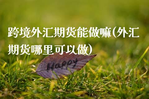 跨境外汇期货能做嘛(外汇期货哪里可以做)_https://www.qianjuhuagong.com_期货平台_第1张