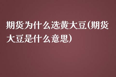 期货为什么选黄大豆(期货大豆是什么意思)_https://www.qianjuhuagong.com_期货直播_第1张