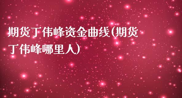 期货丁伟峰资金曲线(期货丁伟峰哪里人)_https://www.qianjuhuagong.com_期货百科_第1张