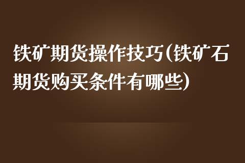 铁矿期货操作技巧(铁矿石期货购买条件有哪些)_https://www.qianjuhuagong.com_期货行情_第1张