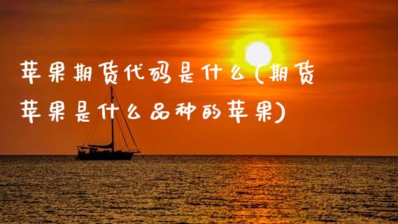 苹果期货代码是什么(期货苹果是什么品种的苹果)_https://www.qianjuhuagong.com_期货直播_第1张