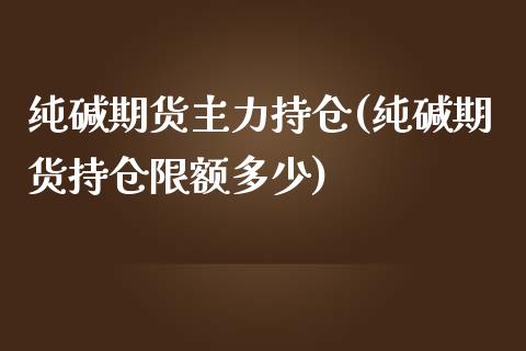 纯碱期货主力持仓(纯碱期货持仓限额多少)_https://www.qianjuhuagong.com_期货直播_第1张