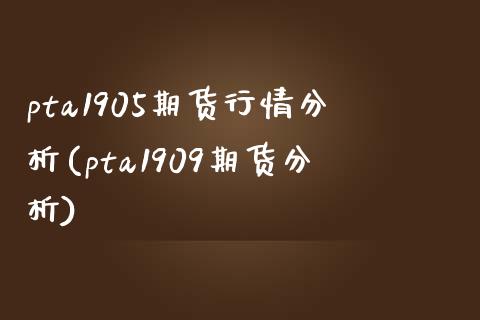 pta1905期货行情分析(pta1909期货分析)_https://www.qianjuhuagong.com_期货百科_第1张