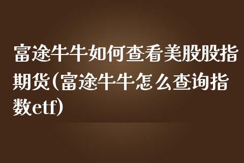 富途牛牛如何查看美股股指期货(富途牛牛怎么查询指数etf)_https://www.qianjuhuagong.com_期货开户_第1张