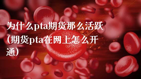 为什么pta期货那么活跃(期货pta在网上怎么开通)_https://www.qianjuhuagong.com_期货行情_第1张