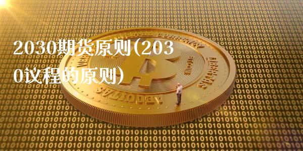 2030期货原则(2030议程的原则)_https://www.qianjuhuagong.com_期货开户_第1张