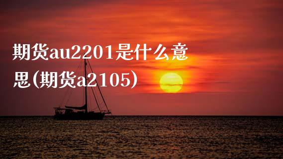 期货au2201是什么意思(期货a2105)_https://www.qianjuhuagong.com_期货开户_第1张